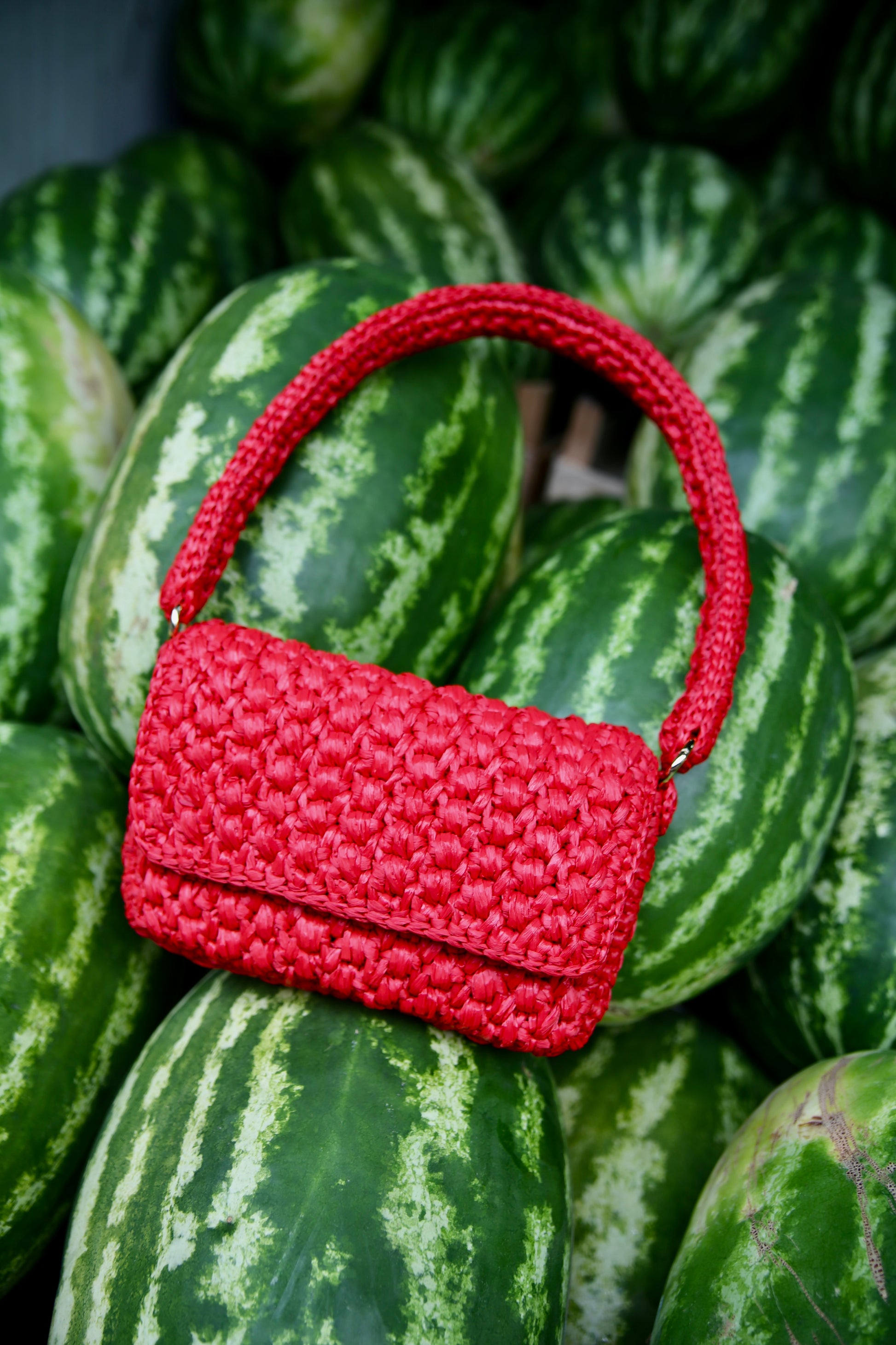 Baguette Bag Red