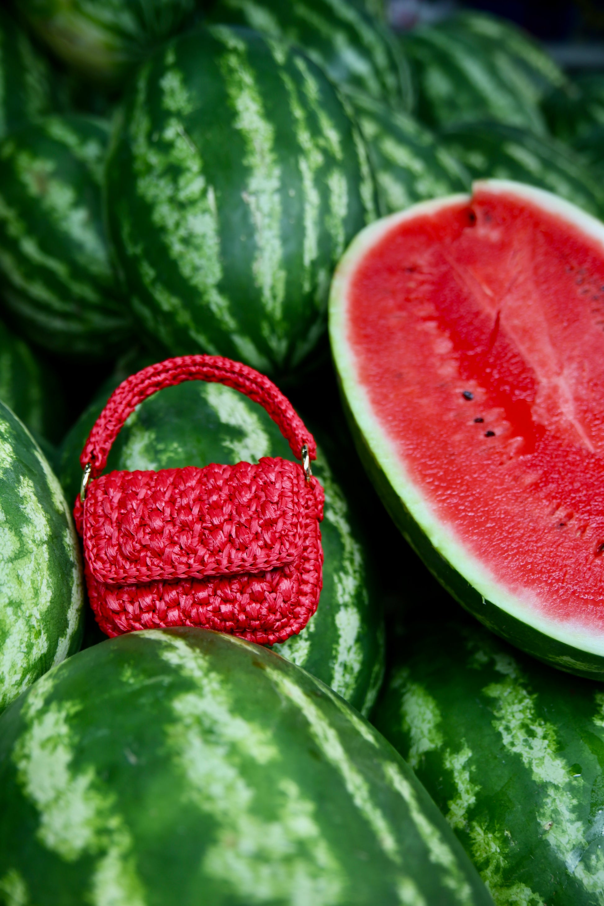Micro Bag Red